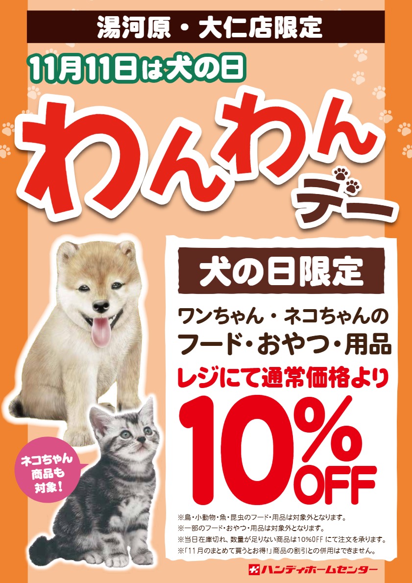 【湯河原店／大仁店限定】11月11日 わんわんデー開催！！